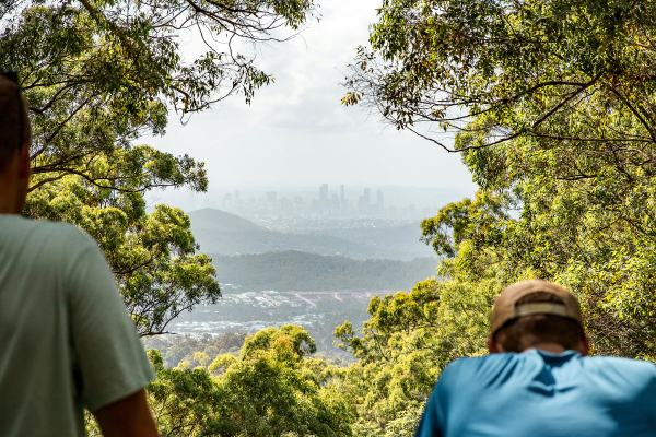 a view of brisbane city skyline through some trees on a JOEY Travel trip