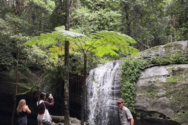 three people in a rainforest with a large waterfall in the background